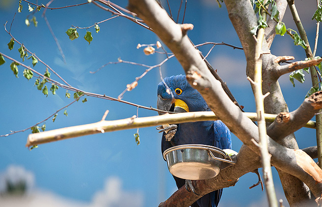 ip攻击器网页版