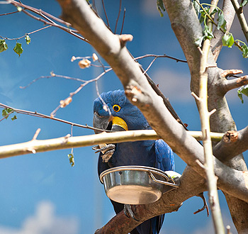 网络ddos攻击软件