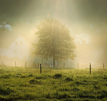 快速原型设计的ddos免费测试