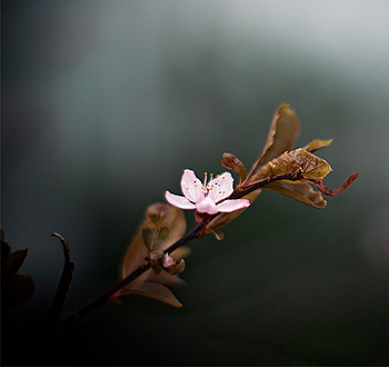 正版授权可靠的DDOS攻击平台